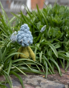 Mini Muscari Kit