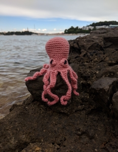 Mini Orla the Octopus