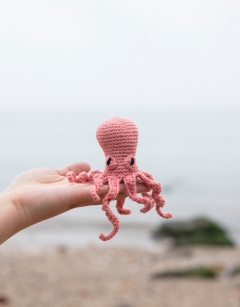 Mini Orla the Octopus