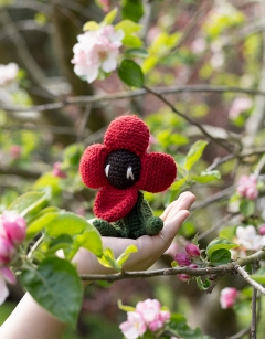 Mini Poppy