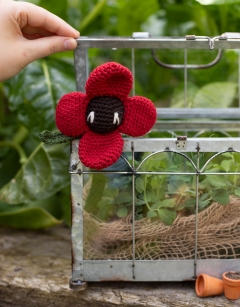 Mini Poppy