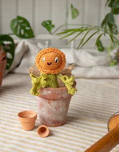 Mini Ranunculus Kit