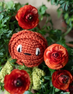 Mini Ranunculus