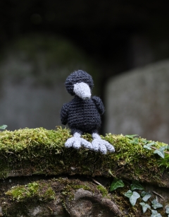 Mini Henry the Raven