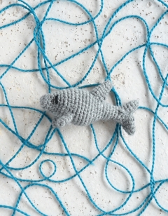 Mini Kai the Shark