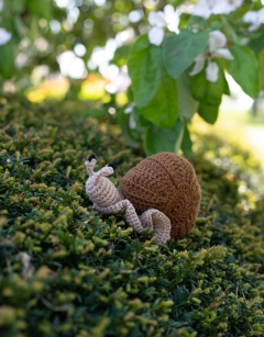Otis the Snail Kit