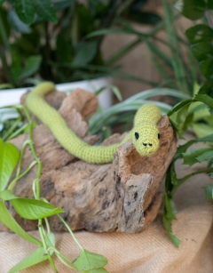 Mini Atticus the Snake Kit