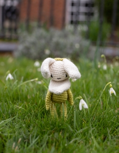 Mini Snowdrop Kit