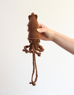 Mini Darwin the Squid
