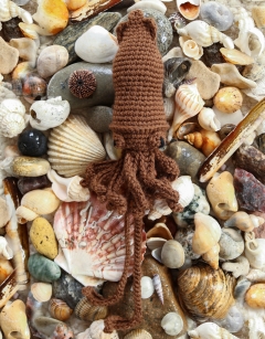 Mini Darwin the Squid