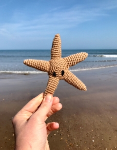 Mini Ringo the Starfish Kit