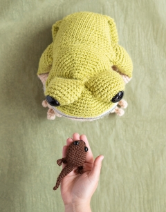 Pip the Tadpole