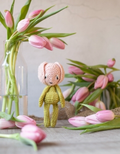 Mini Tulip Kit