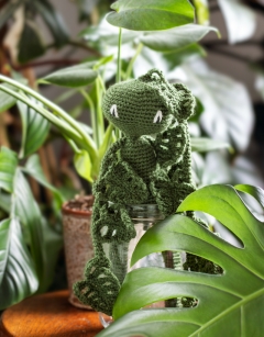 Monstera Kit