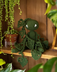 Monstera Houseplant Kit