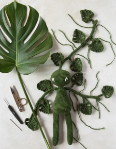 Monstera Houseplant Kit