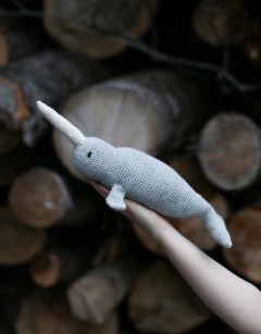 Lewis the Narwhal