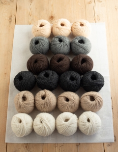 National Park Animal Bundle