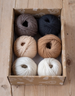 Nativity Discovery Box