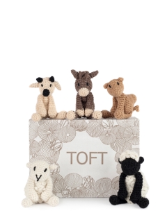 Nativity Discovery Box