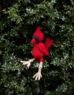 Rory the Northern Cardinal