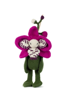 Harlequin Moth Orchid