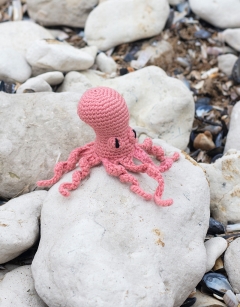 Mini Orla the Octopus