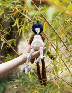 Raja the Indian Paradise Flycatcher