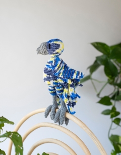 Cameron the Parrot