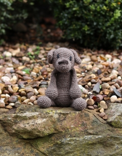 Denzel the Patterdale Terrier