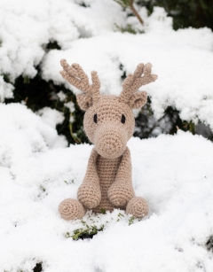 Donna the Christmas Reindeer