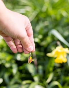 Nova the Rosy Maple Moth