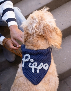 Pet Bandana