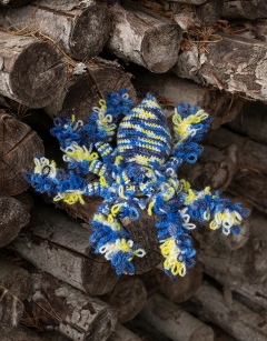 Sabrina the Cobalt Tarantula