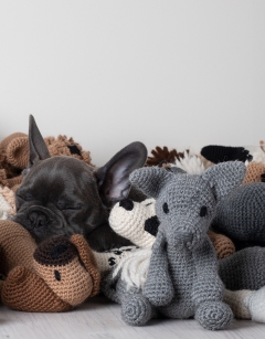 Enzo the French Bulldog Kit