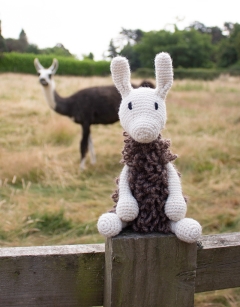 Archie the Llama Kit