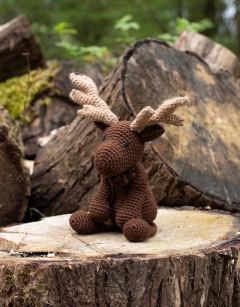 Logan the Moose Kit