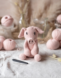Richard the Pig Kit