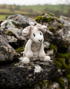Bryn the Welsh Mountain Sheep Kit