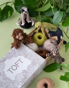 Jungle Discovery Box