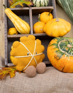 Patty Squash Kit