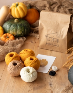 Patty Squash Kit