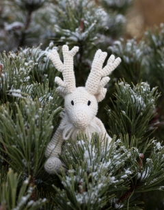 Caspar the Peary Caribou Kit