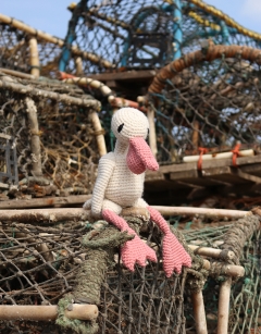 Patsy the Australian Pelican