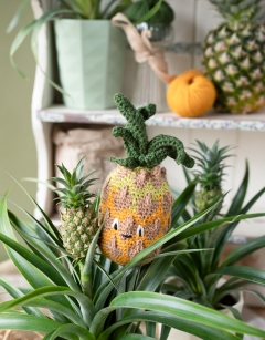 Ripening Pineapple