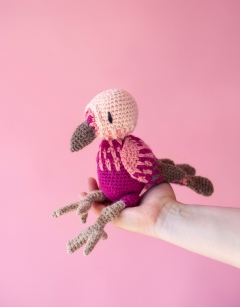 Aria the Pink-Headed Warbler