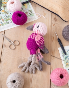 Aria the Pink-Headed Warbler