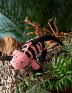 Fitzroy the Pink Land Iguana