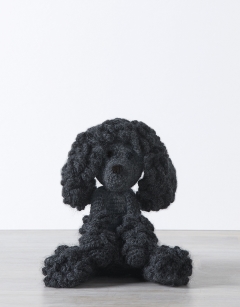 Millie the Poodle