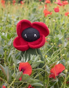 Poppy Kit